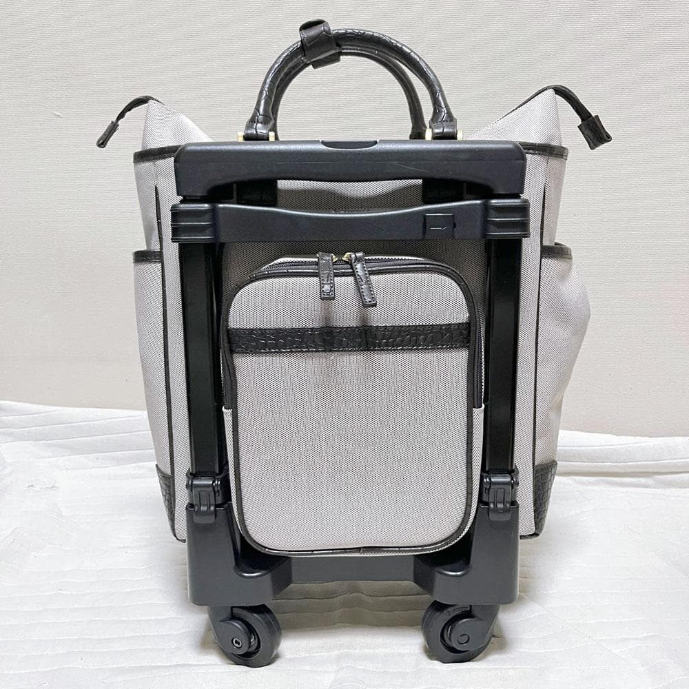 極美品 希少 SWANYスワニー キャンバス 型押し 2way キャリーバッグ