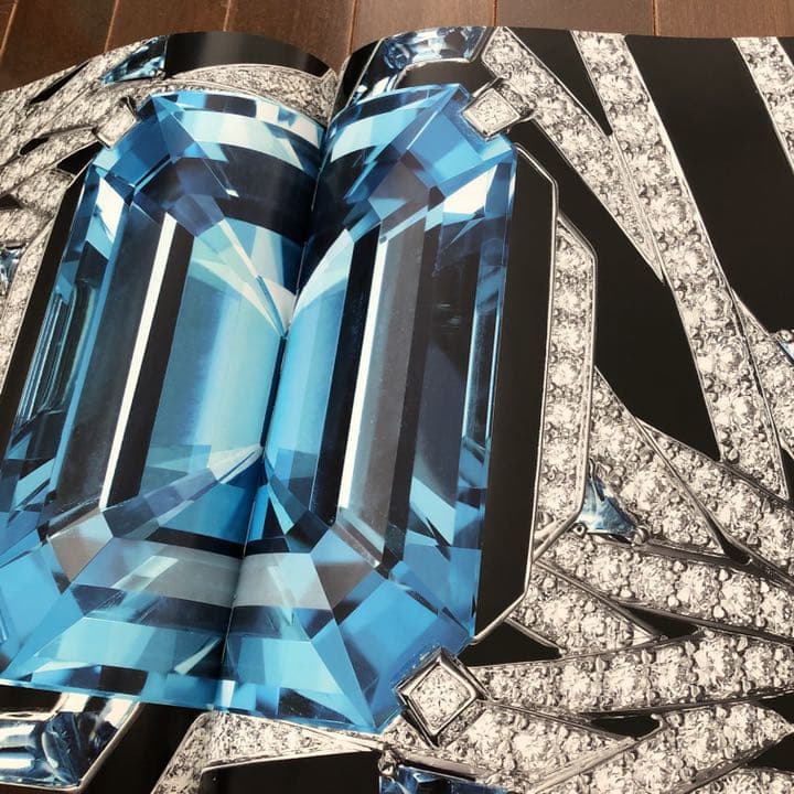 カルティエ のスタイルの起源 洋書　ジュエリーデザインの参考に　Cartier