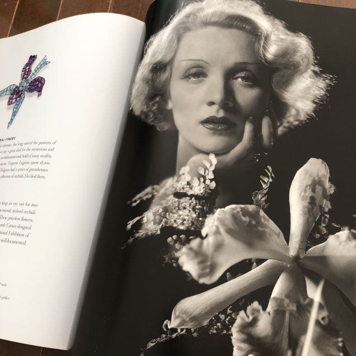 カルティエ のスタイルの起源 洋書　ジュエリーデザインの参考に　Cartier