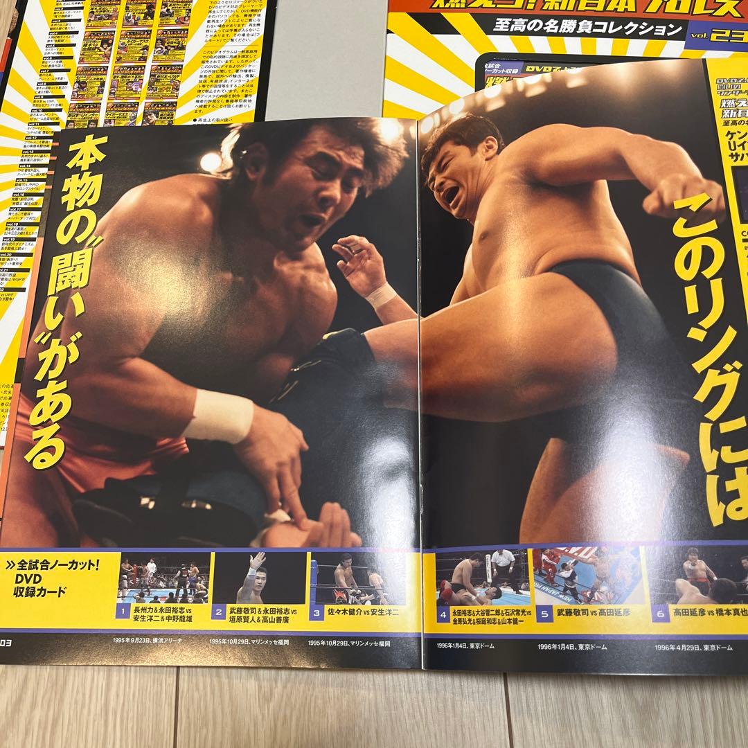 燃えろ！新日本プロレス　DVD 武藤敬司vs 高田延彦　Uインター