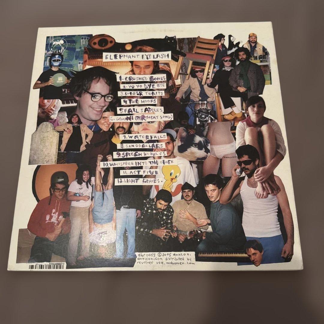 洋楽 WHY? Elephant Eyelash