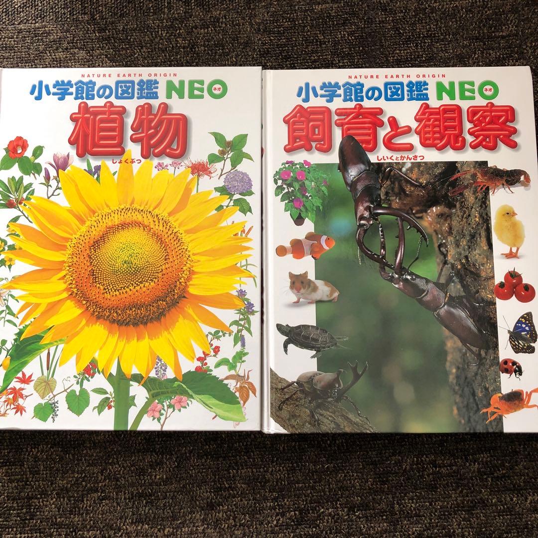 ⭐️小学館の子ども図鑑　プレNEO　他　15冊　セット　まだある！ふしぎの図鑑