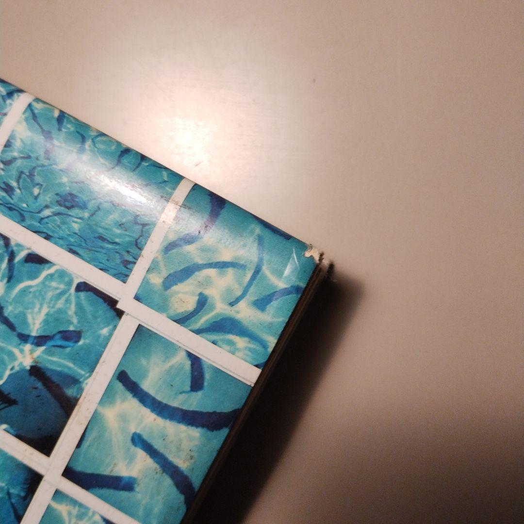 【希少】David Hockney CAMERAWORKS ホックニー 写真集