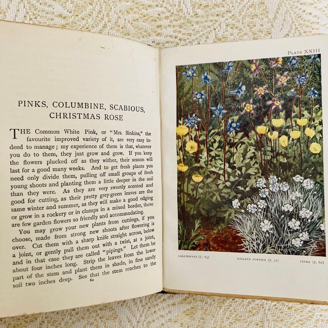洋書　古書　希少　イギリスのアンティーク植物図鑑　色鮮やかで美しいカラー図版♡