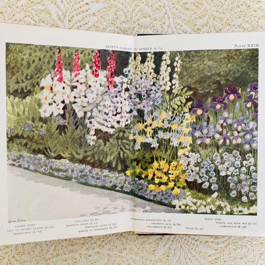 洋書　古書　希少　イギリスのアンティーク植物図鑑　色鮮やかで美しいカラー図版♡