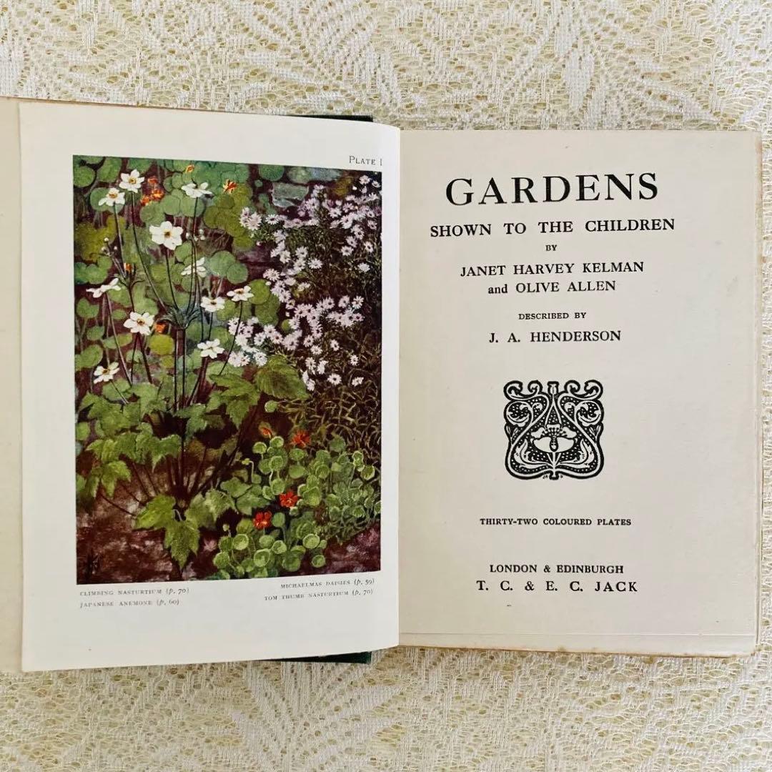 洋書　古書　希少　イギリスのアンティーク植物図鑑　色鮮やかで美しいカラー図版♡