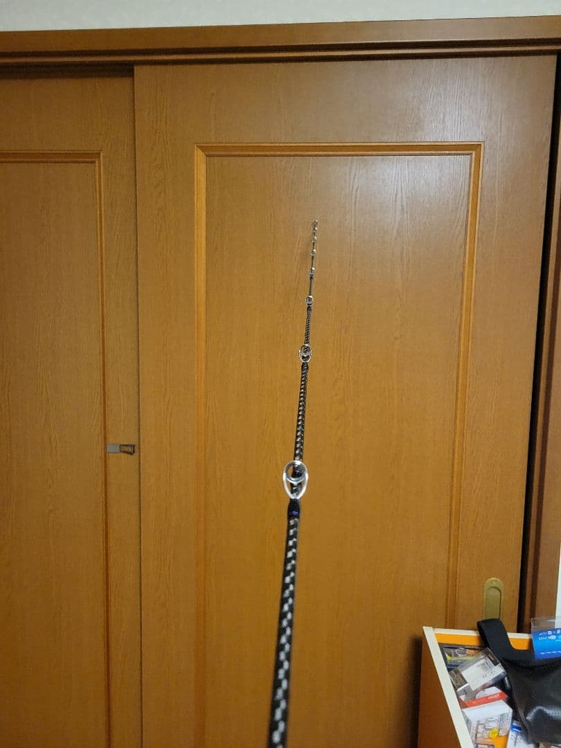 19Scorpion バスロッド 1652R ロッドケース付き