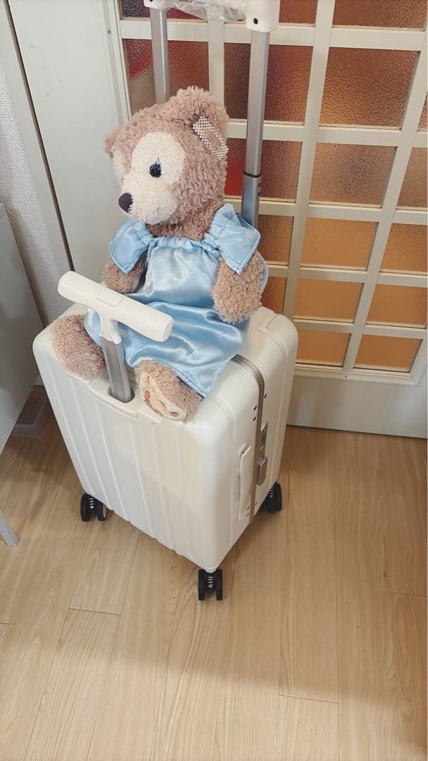 機内持ち込みタイプ キッズキャリー 乗れるキャリーキャリーバッグ　グリーン