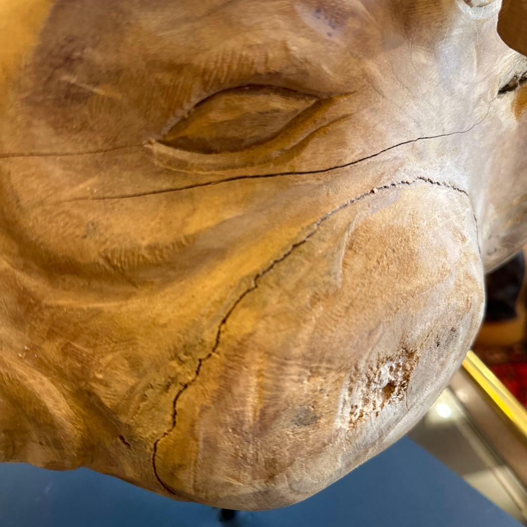 サイ　木彫　頭像　大型