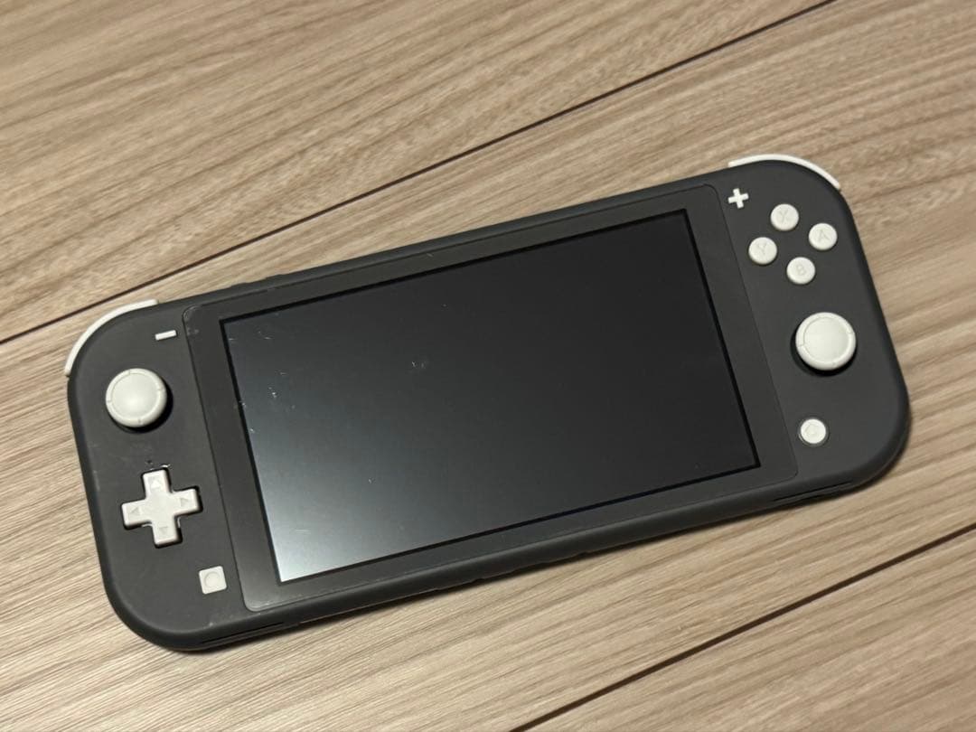 Nintendo Switch Lite グレー 本体とケース