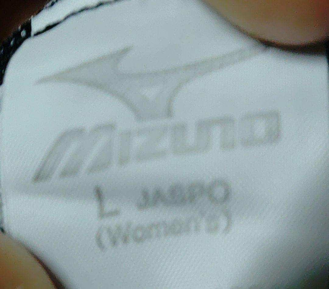 #日体大#Mizuno#競泳#水着#大学#女子 最終値下