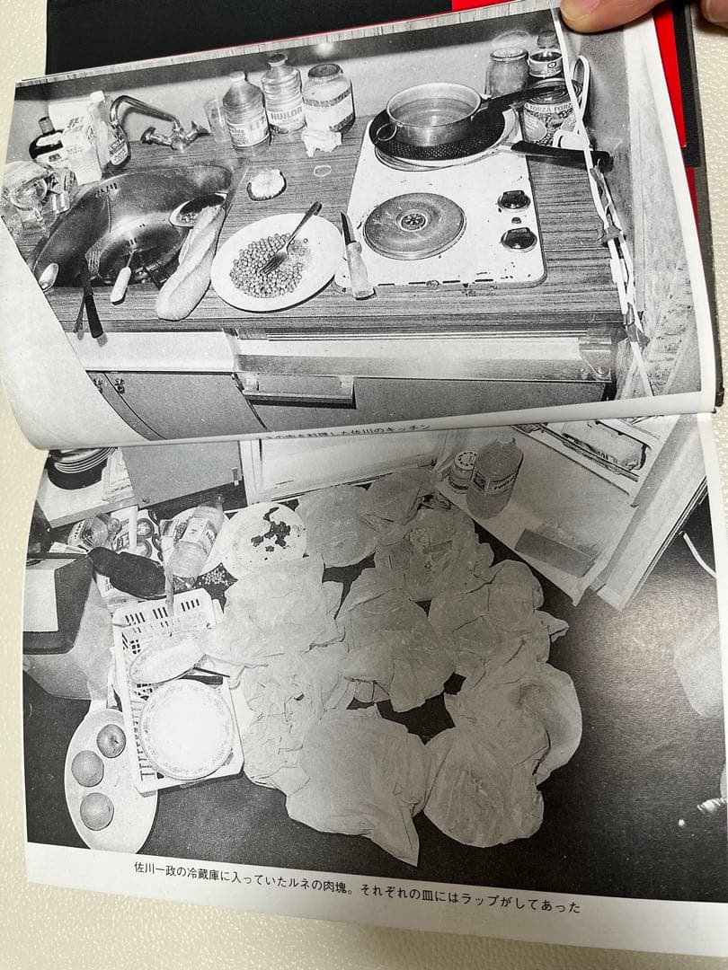 パリ人肉事件 佐川一政の精神鑑定