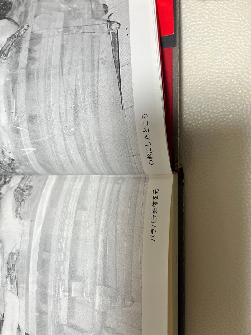 パリ人肉事件 佐川一政の精神鑑定