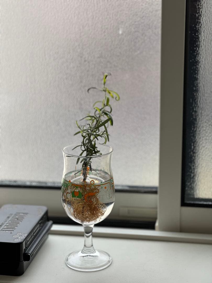 iPhone 13 Pro 256GB グラファイト バッテリー 89%