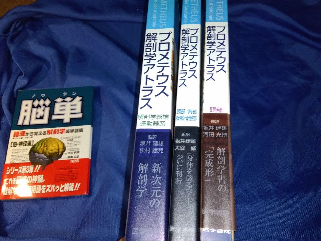プロメテウス解剖学アトラス 解剖学総論/運動器系 他４冊セット
