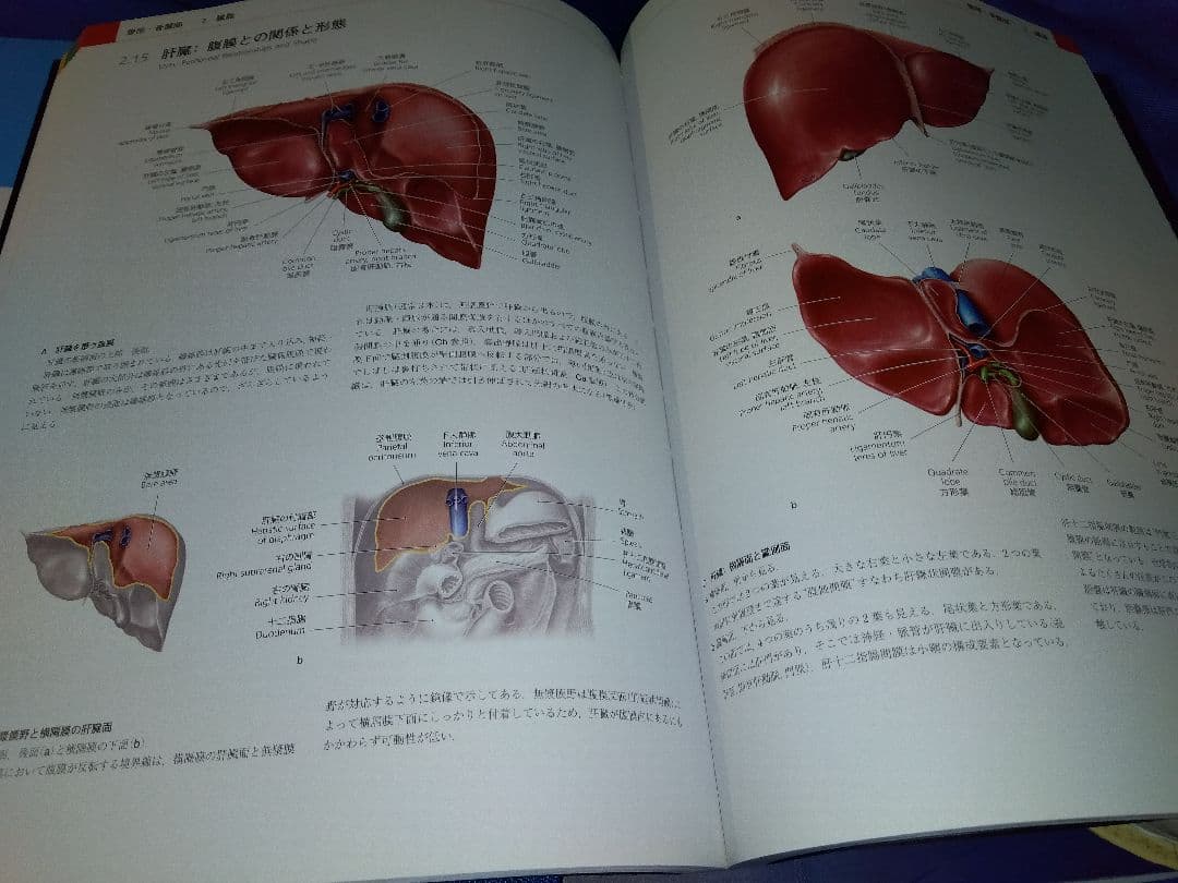 プロメテウス解剖学アトラス 解剖学総論/運動器系 他４冊セット