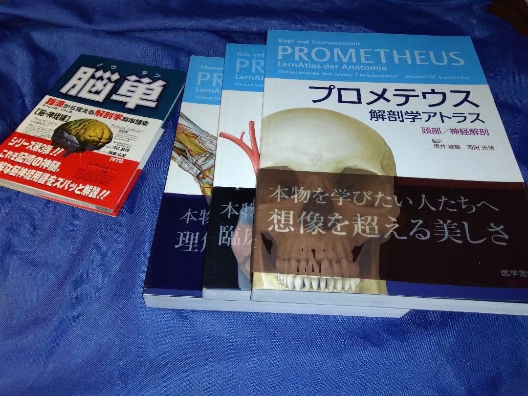 プロメテウス解剖学アトラス 解剖学総論/運動器系 他４冊セット