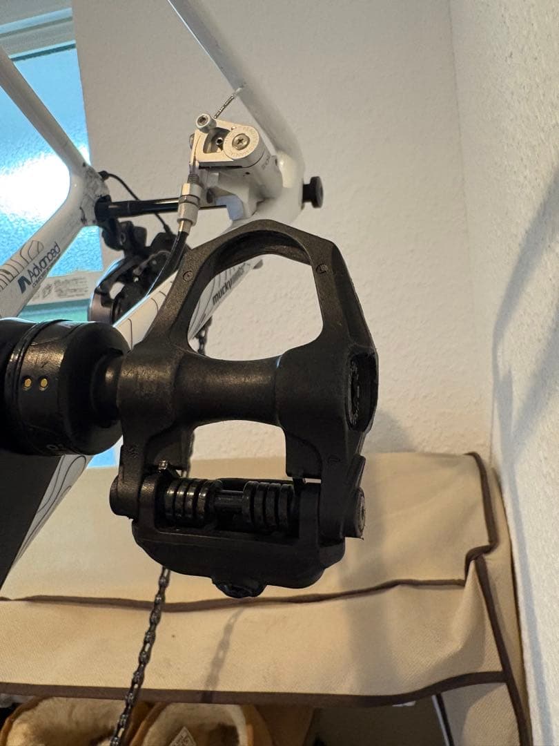 た*い様 assioma duo ペダル型パワーメーター