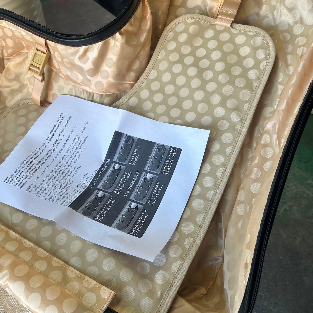 子供が乗れるキッズトラベルキャリー クッションプラス