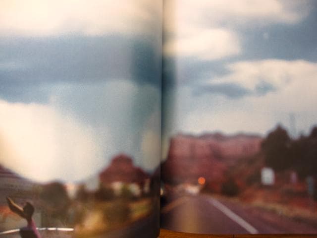 Free for All　Shingo Wakagi　若木信吾