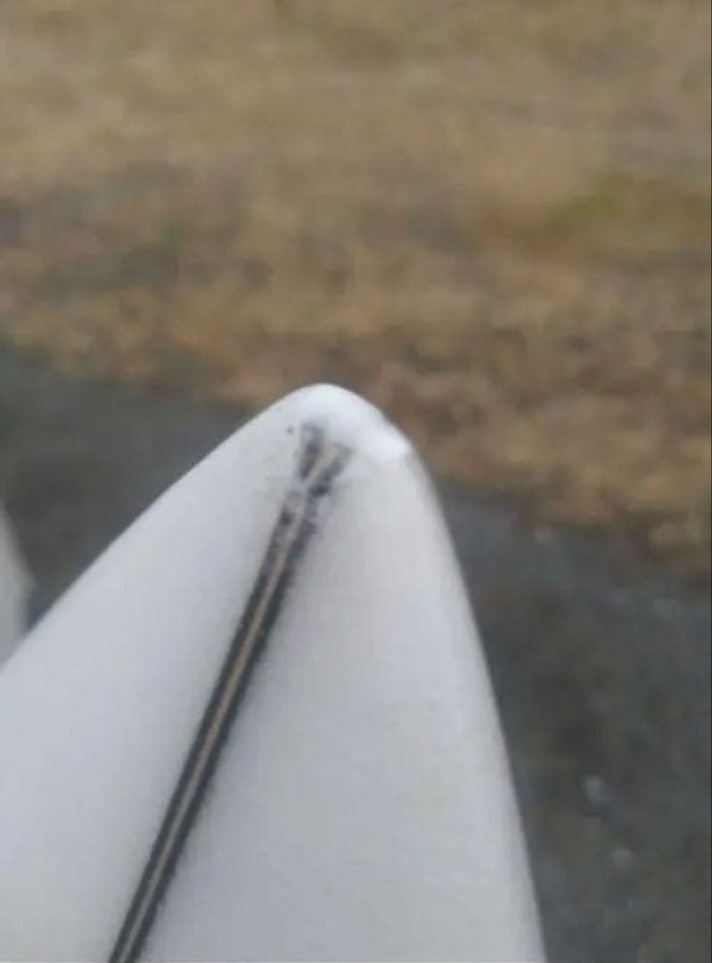 チャネルアイランズ　ネックベアード2