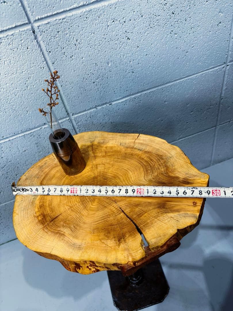 榧輪切りサイドテーブル　ナイトテーブル　コーヒーテーブル　観葉植物起き