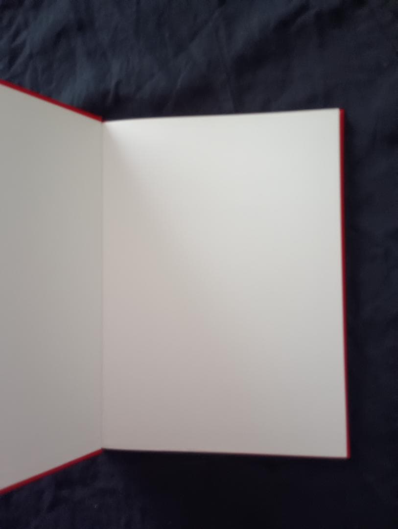 In my room 鷹野　隆大 / Ryudai Takano 写真集