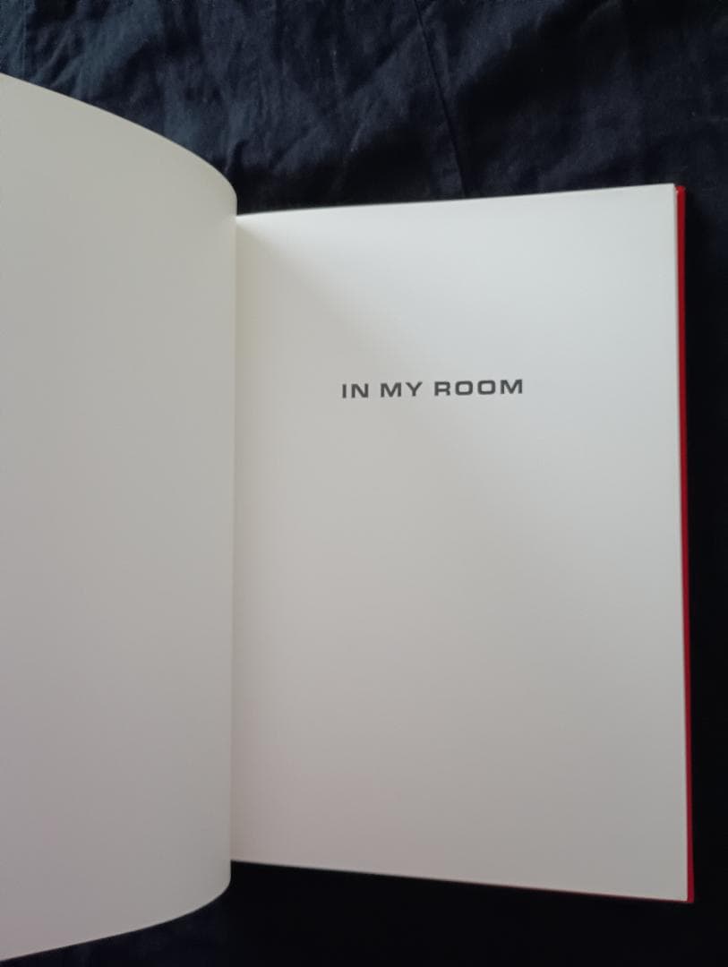 In my room 鷹野　隆大 / Ryudai Takano 写真集