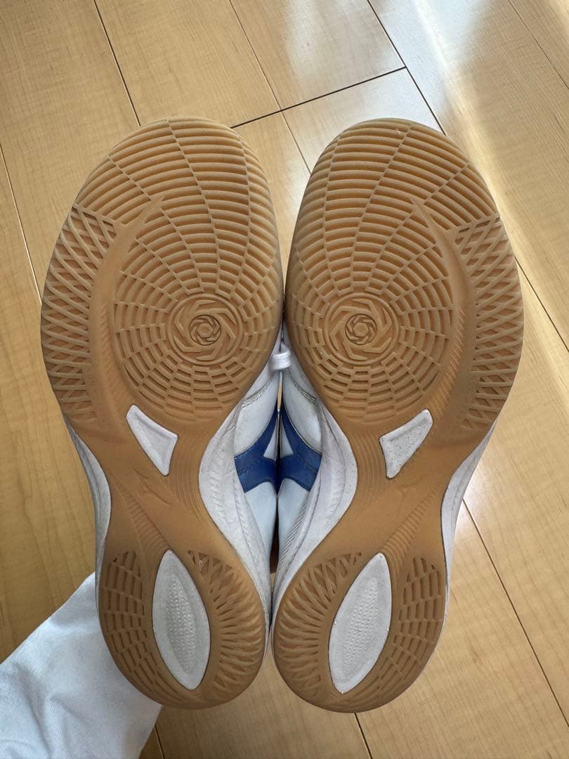 モレリア　サラ　ジャパン　イン　MIZUNO ENERZY 25.5cm