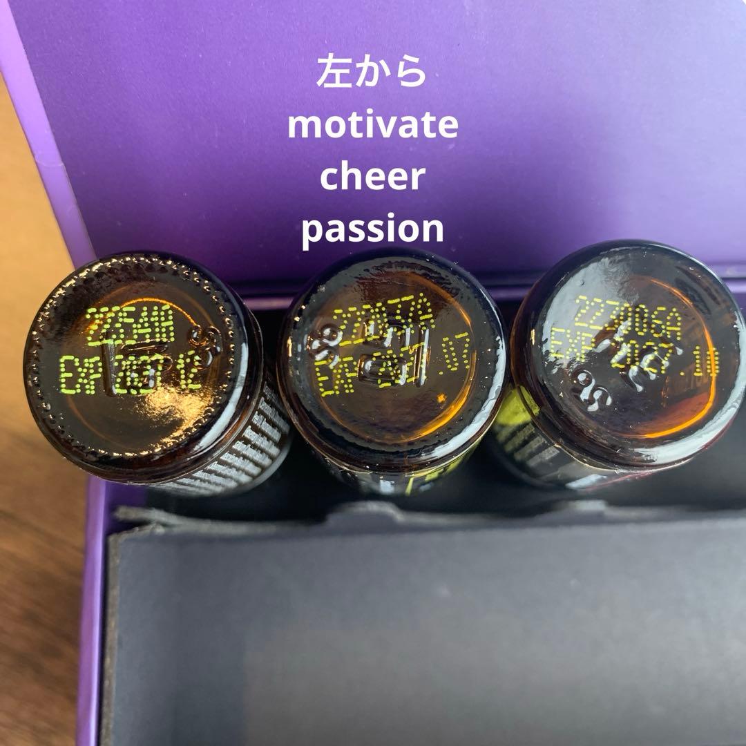 【3/31まで 正規/新品】doTERRA 感情のオイル6本セット