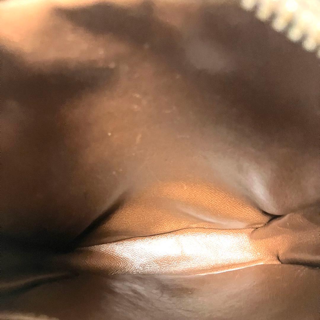 ルイヴィトン ショルダーバッグ ダヌーブ モノグラム pvc レザー