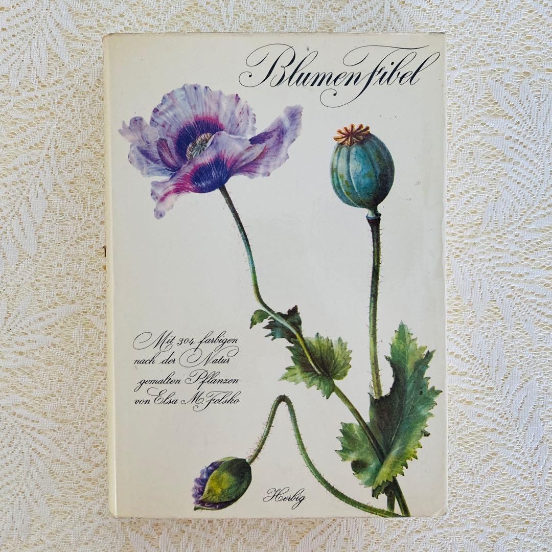 洋書古書　希少　ヴィンテージ植物図鑑　繊細で美しい植物画304点　画集　ドイツ語