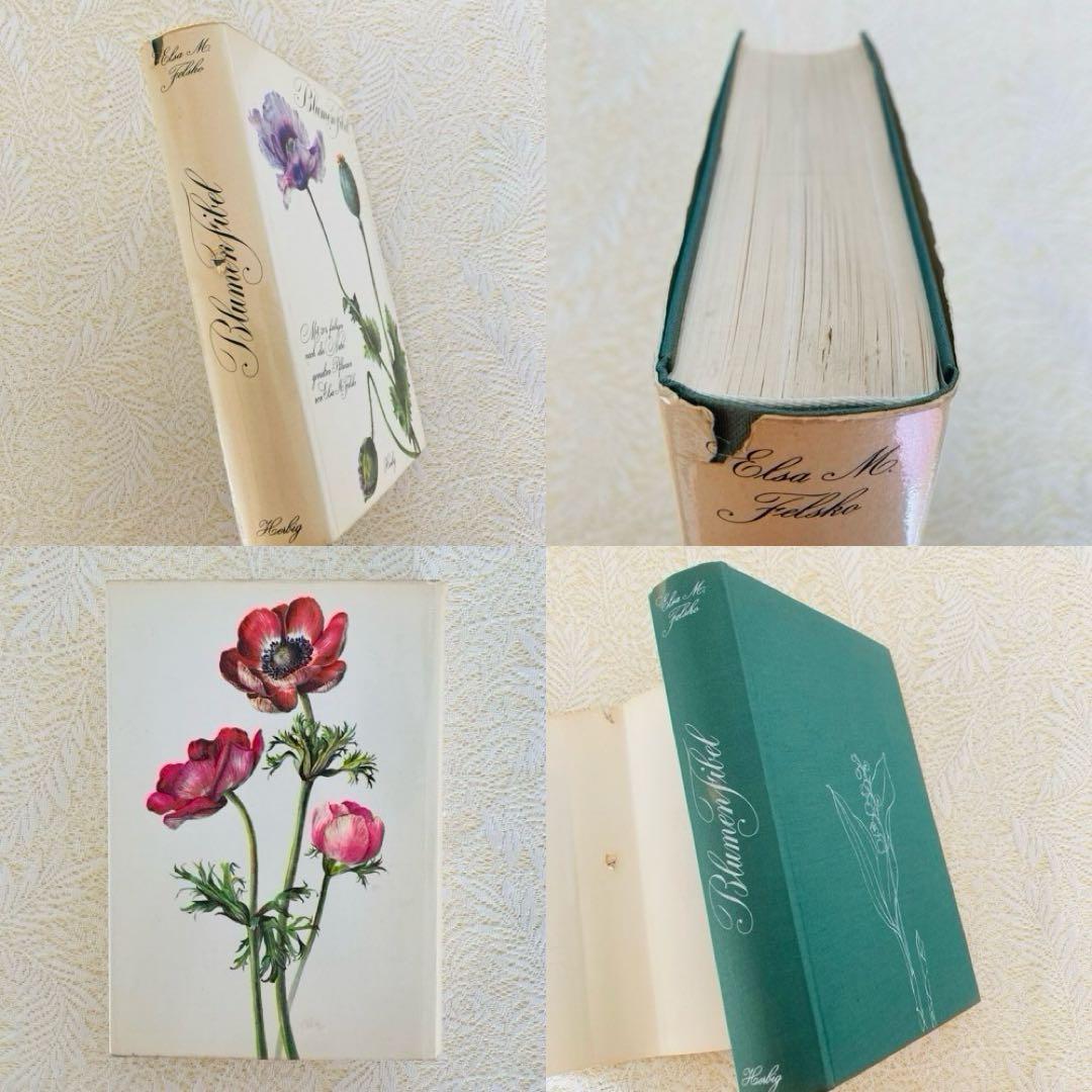 洋書古書　希少　ヴィンテージ植物図鑑　繊細で美しい植物画304点　画集　ドイツ語
