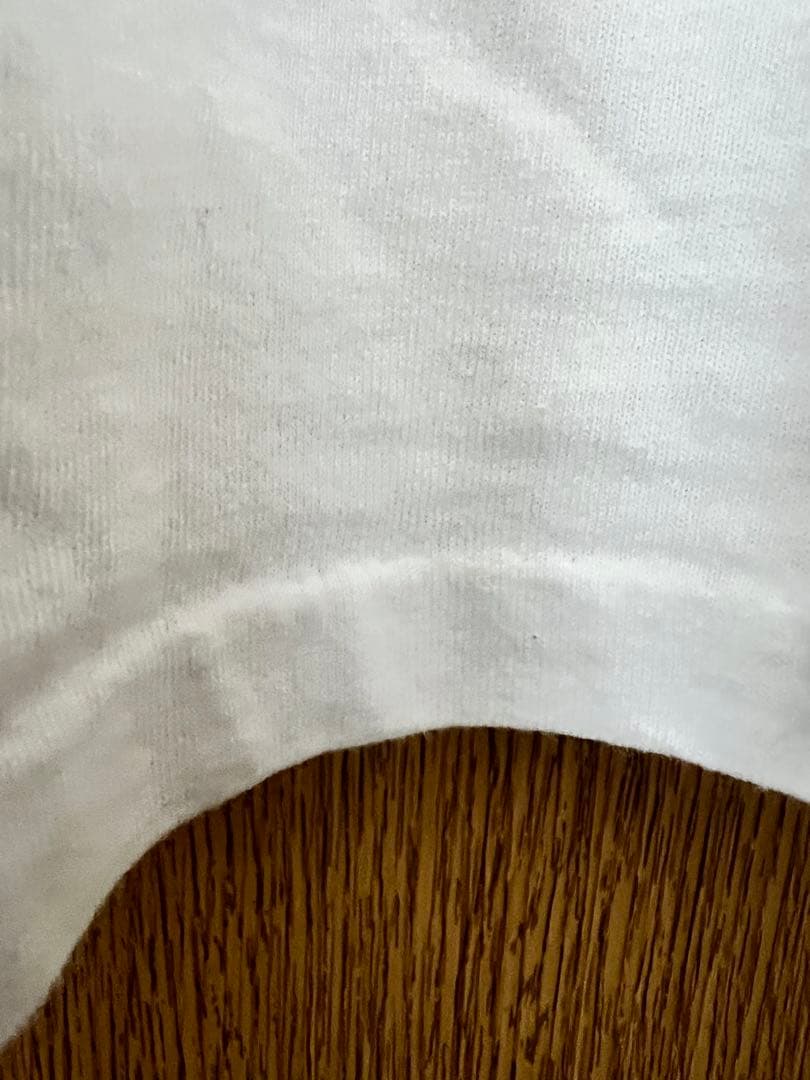 ジェラシックパーク　オニータ　 XL USA シングル　old ビンテージ