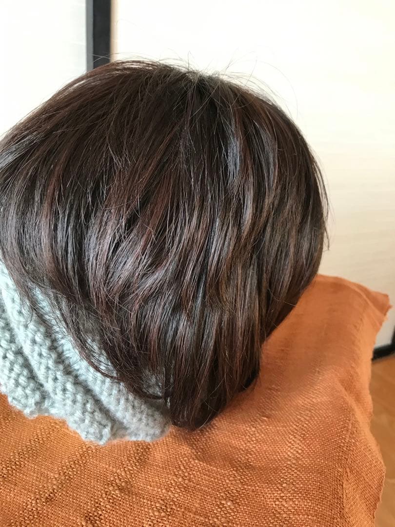 フェザー レオンカウィッグ EX-15 F4モダアクリル人毛