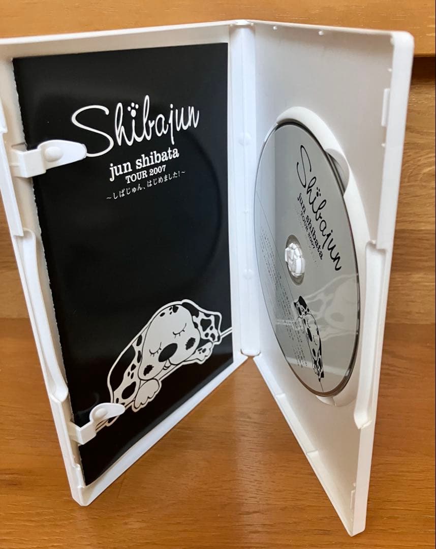 柴田淳　コンサートツアー　DVD 4枚セット