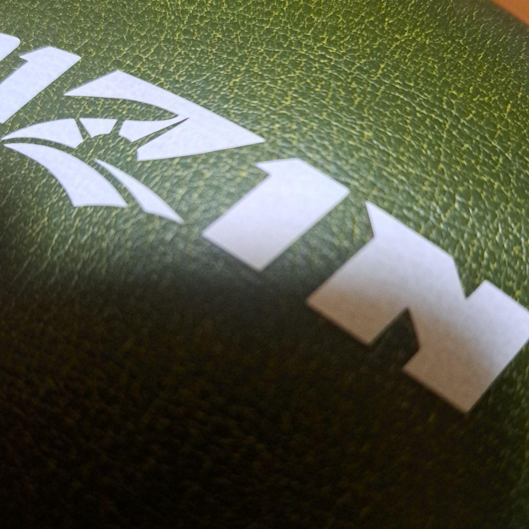 RIZIN　公式グローブ