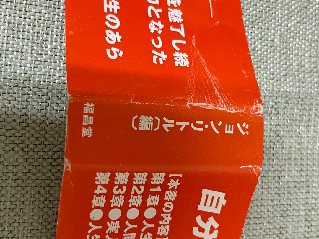 【希少】　ブルース・リーが語るストライキング・ソーツ