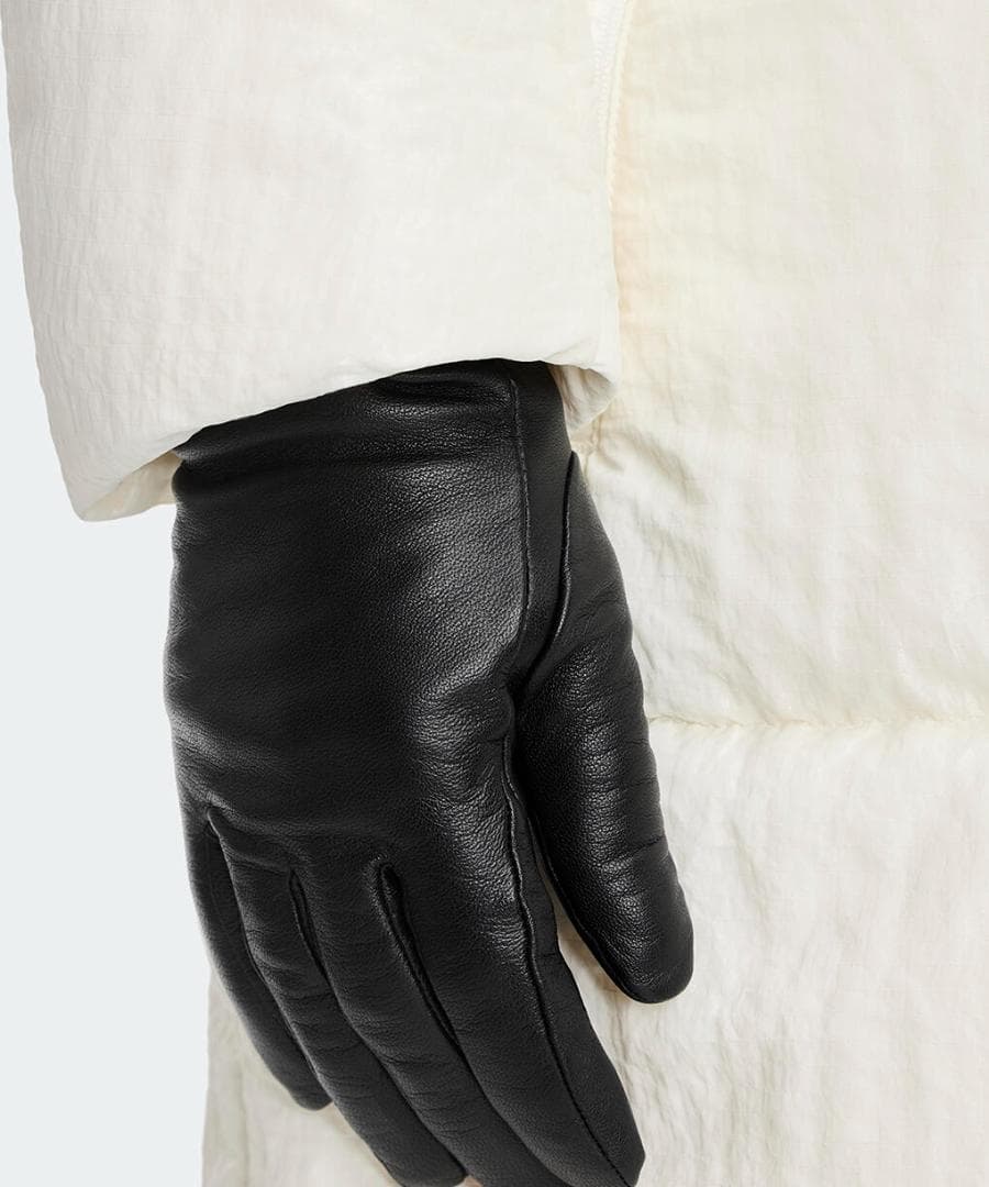 【最高級】  Leather Glove
