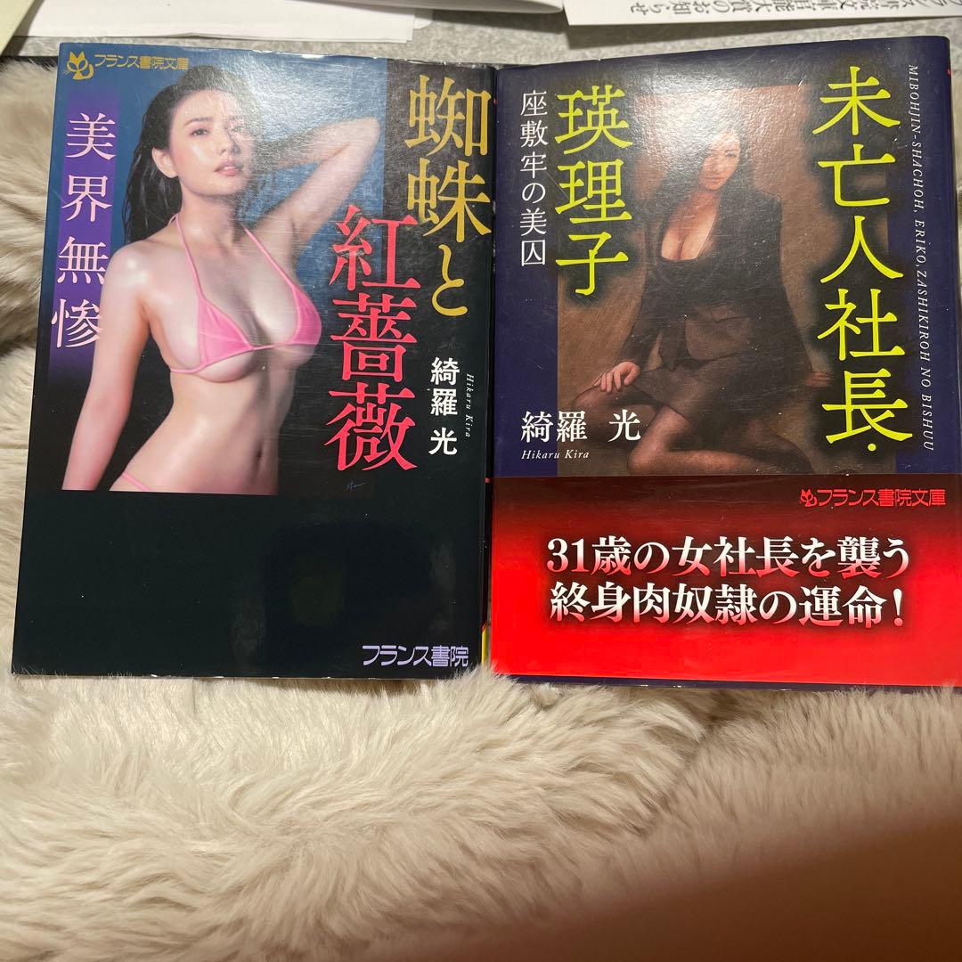 白*角様 最終値下げ　綺羅光 フランス書院文庫 文庫本 入手困難２０冊セット