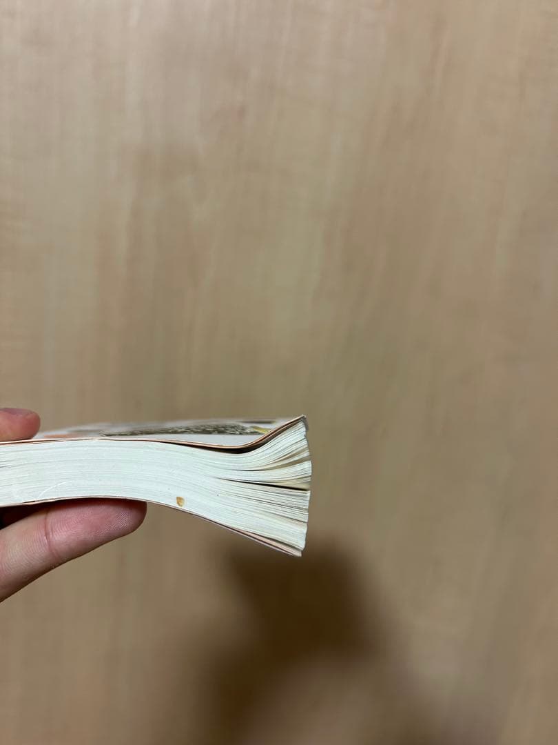 初版 ハイスクール奇面組 文庫版 集英社文庫 全巻セット ハイスクール 新沢基栄