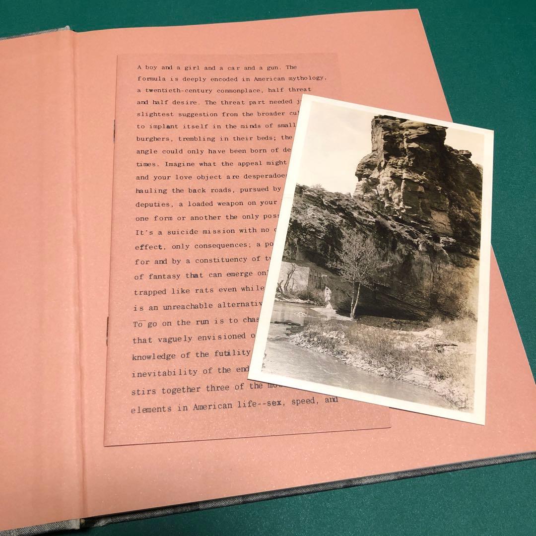 アート・デザイン・音楽 REDHEADED PECKERWOOD