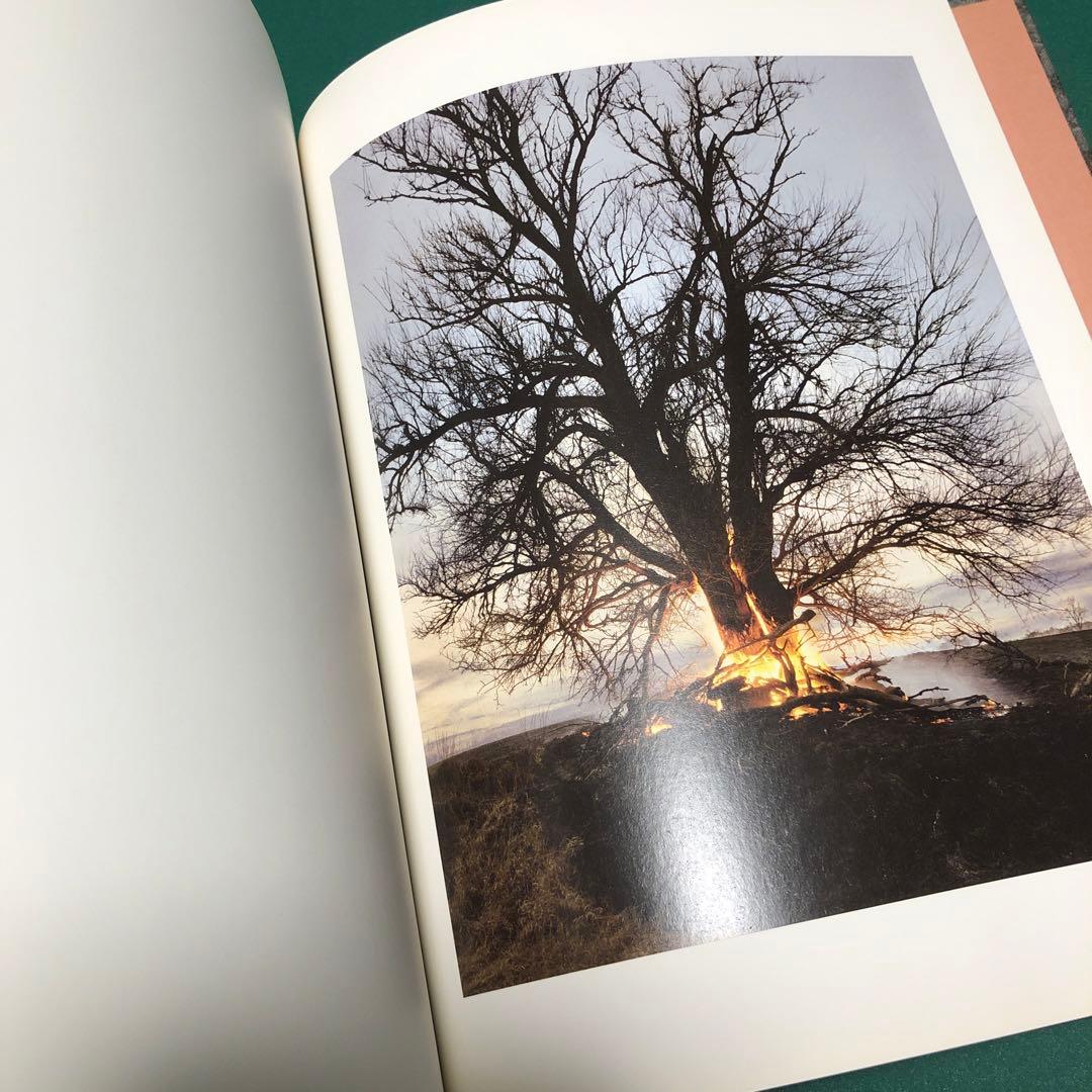 アート・デザイン・音楽 REDHEADED PECKERWOOD