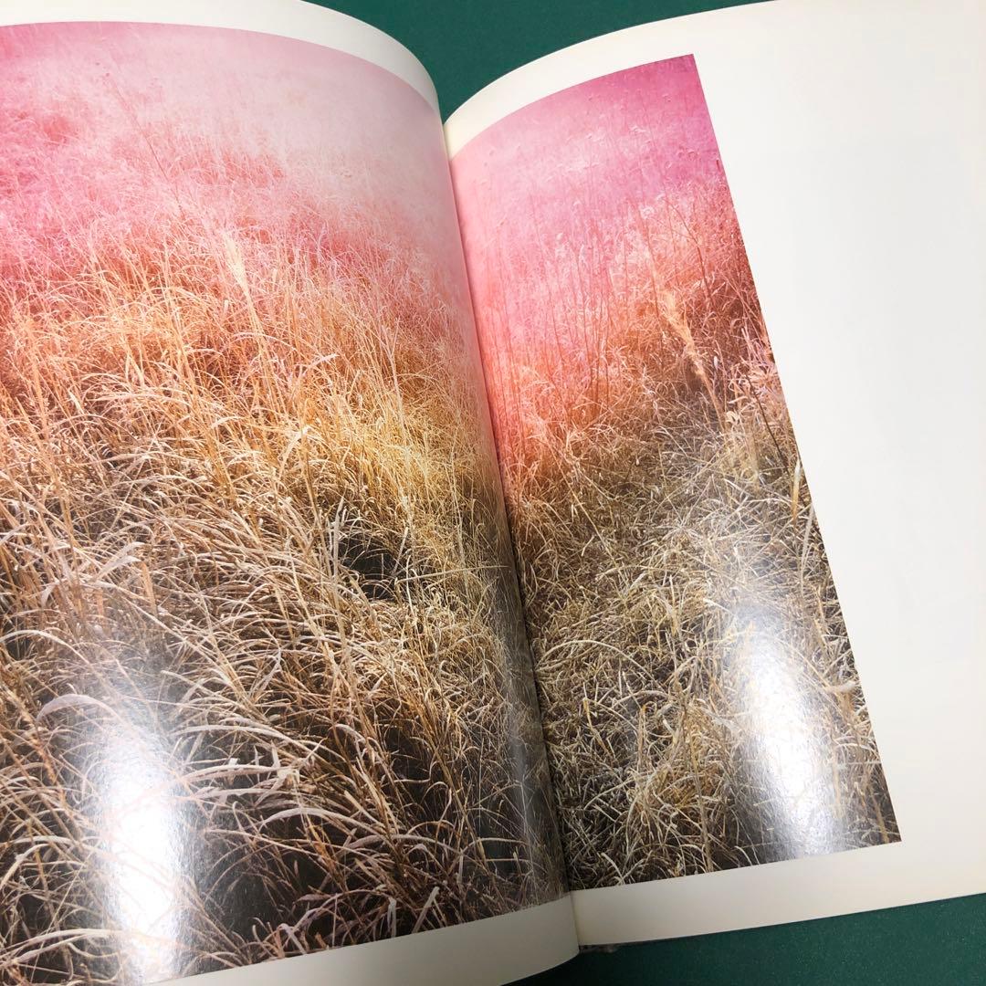 アート・デザイン・音楽 REDHEADED PECKERWOOD