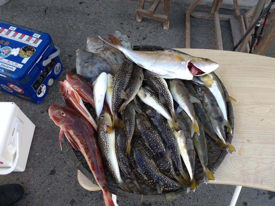 ★専用です★湾SHIMANO BAYGAME 船竿 180cm CI4+