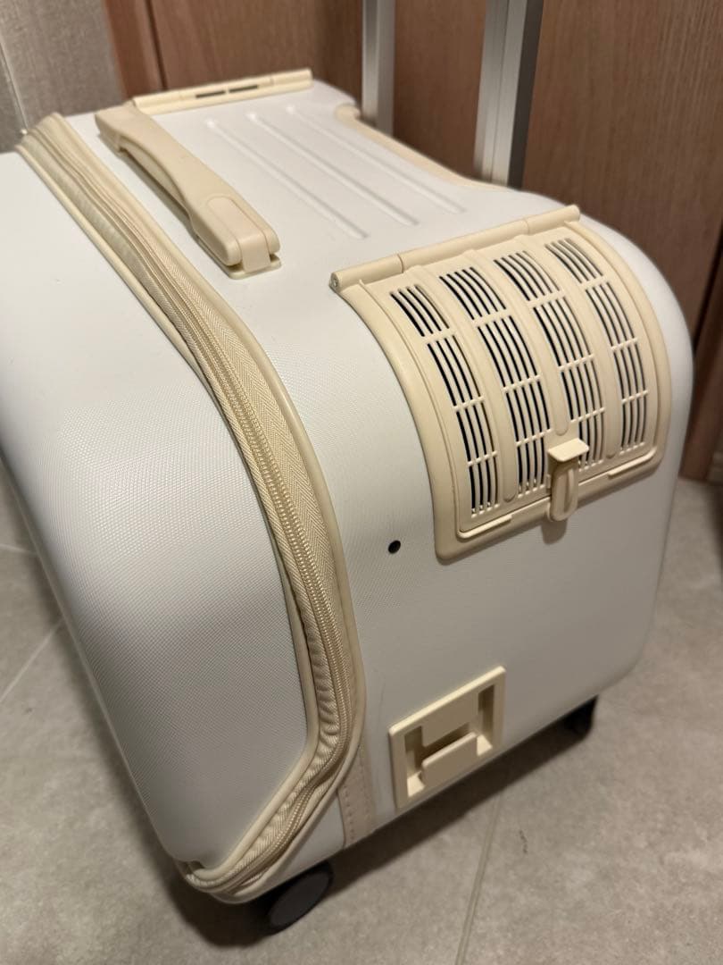 ジェックス OSOTO コロフィー Mサイズ