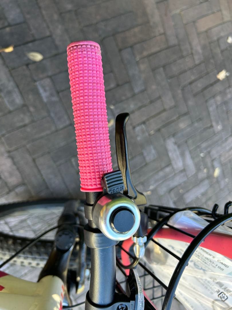 【直接引き取り限定】Trek 24インチ キッズバイク 前面バスケット付き