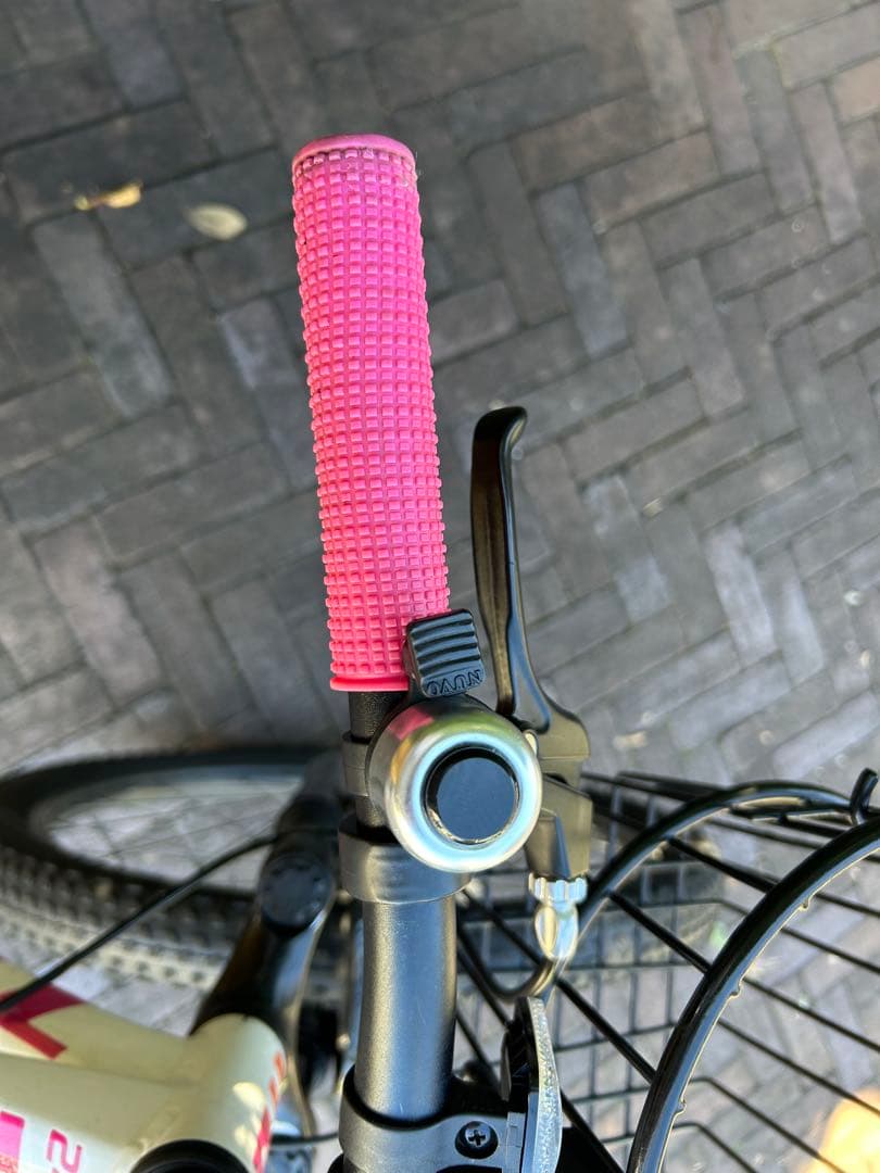 【直接引き取り限定】Trek 24インチ キッズバイク 前面バスケット付き