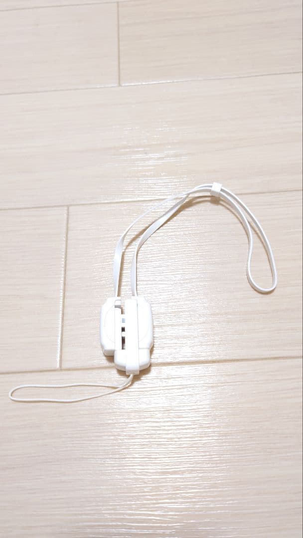 ニンテンドー(任天堂) DSi本体 ＋ソフト2本付き