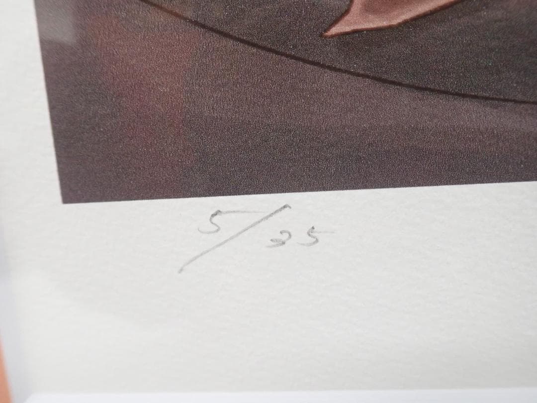 ⑩ぱぶろふ「紅葉」他の方購入不可